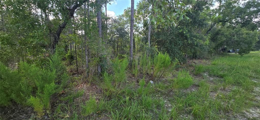 15281 MOTTLED OWL ROAD WEEKI WACHEE, FL 34614