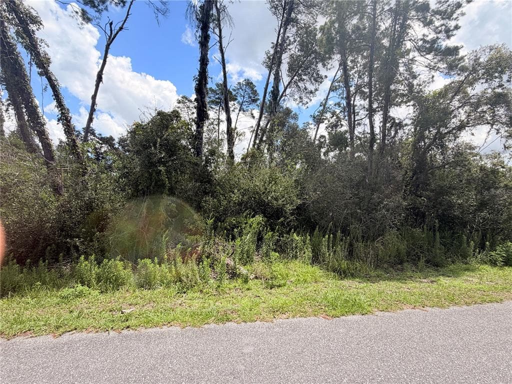 7052 OREGON CHICKADEE ROAD WEEKI WACHEE, FL 34613