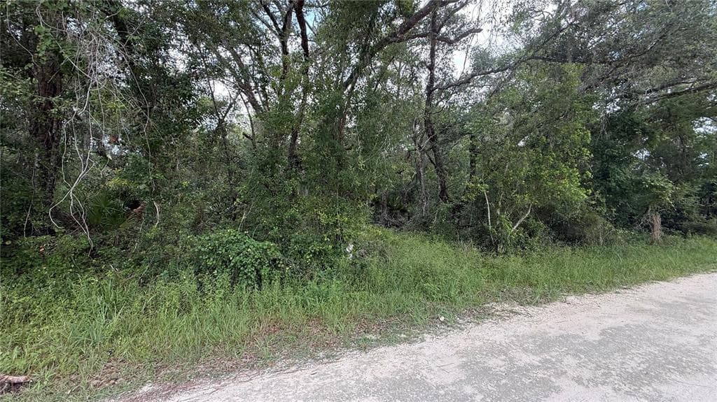9103 CHIMNEY ROCK DRIVE WEBSTER, FL 33597