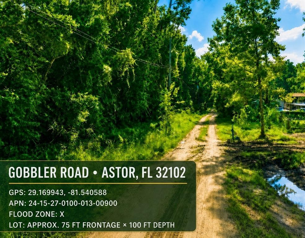 GOBBLER ROAD ASTOR, FL 32102