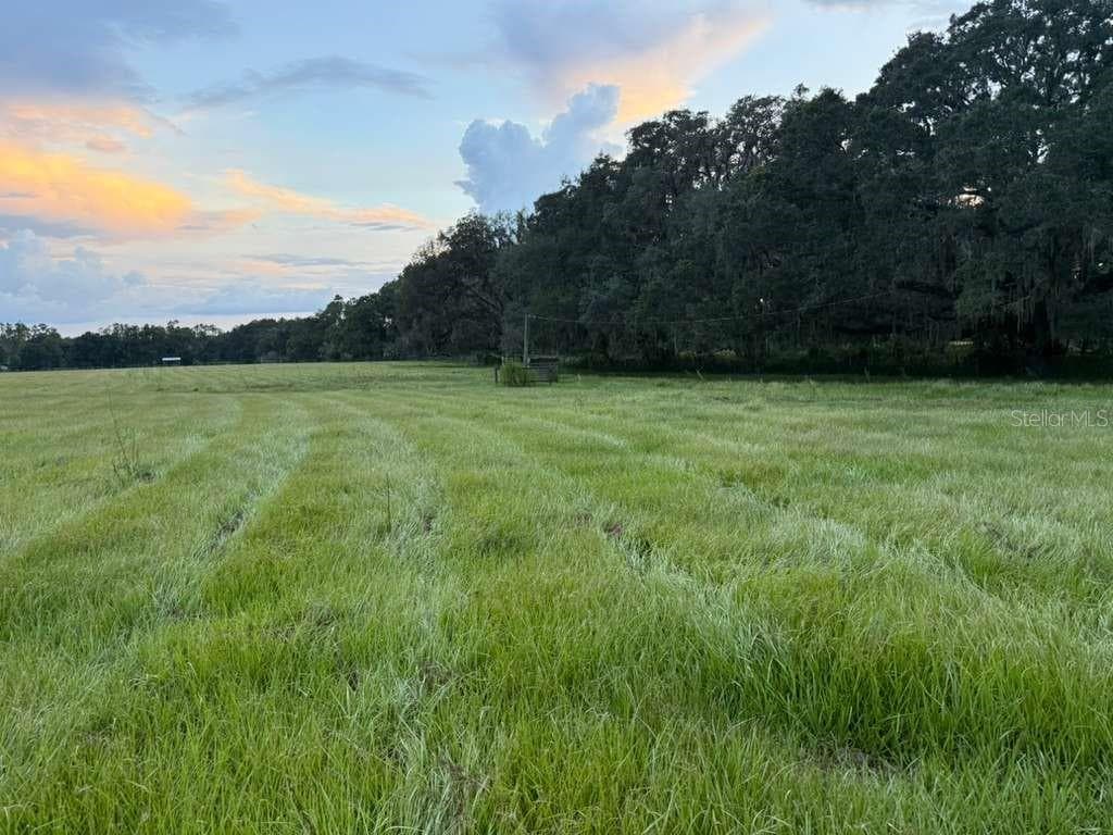 00 BAYHEAD ROAD DADE CITY, FL 33523