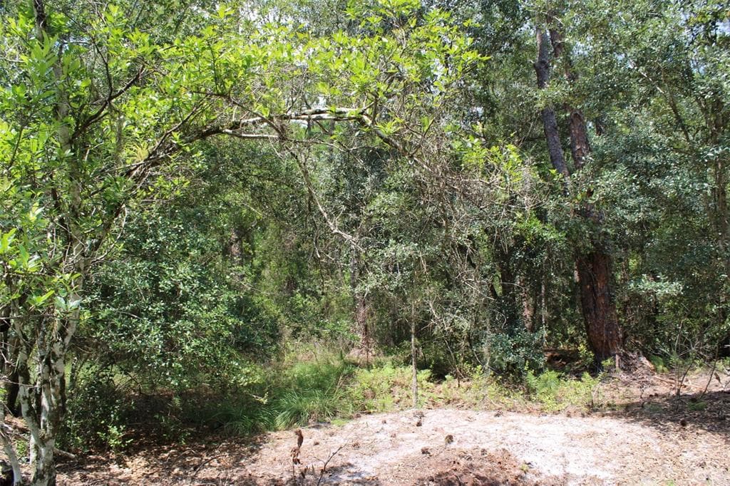 1217 IRIS AVENUE SEBRING, FL 33875