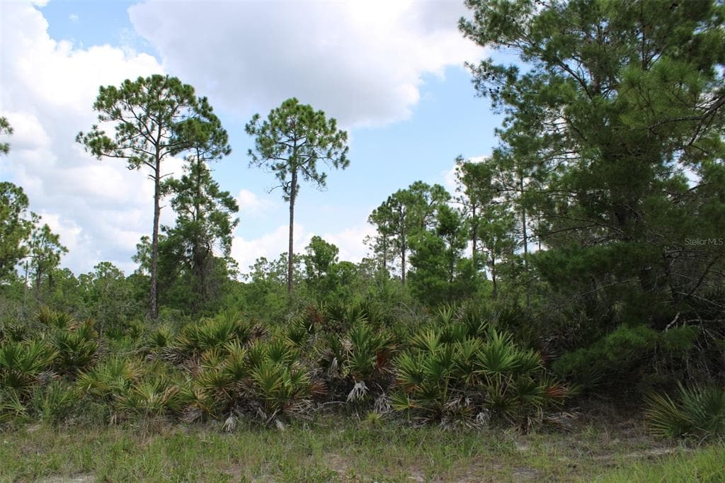 1830 OLEASTER AVENUE SEBRING, FL 33875