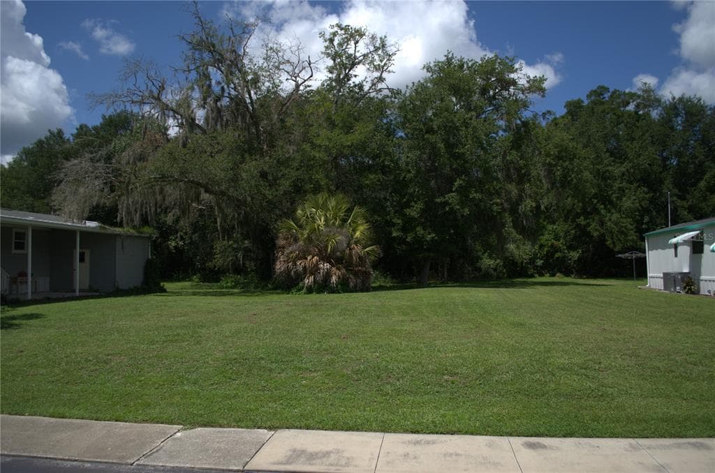 MULLER DRIVE