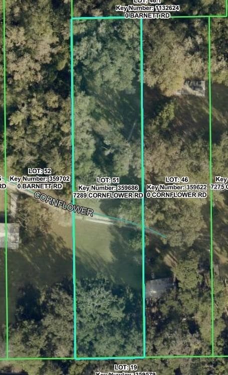 7289 CORNFLOWER ROAD BROOKSVILLE, FL 34601