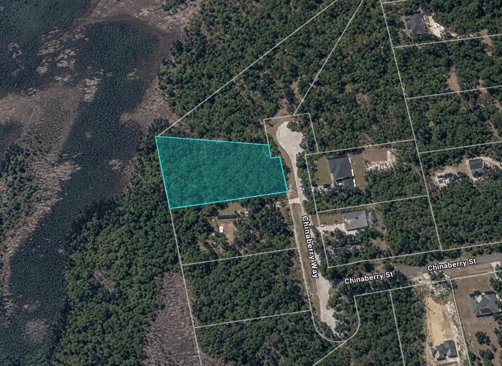 CHINABERRY WAY EUSTIS, FL 32736