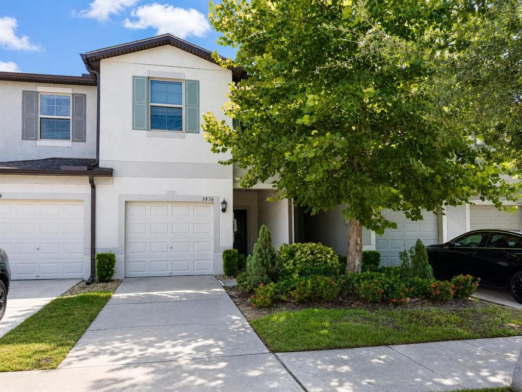 3836 CAT MINT STREET TAMPA, FL 33619