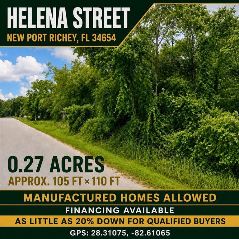 HELENA STREET NEW PORT RICHEY, FL 34654