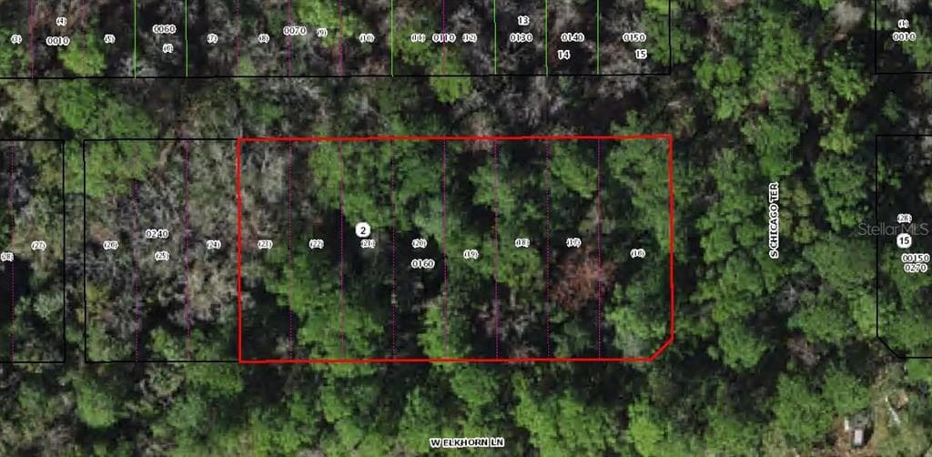 8733 W ELKHORN DRIVE HOMOSASSA, FL 34448