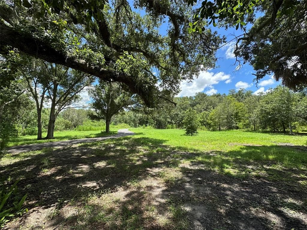 1676 HERMOSA DRIVE PALM HARBOR, FL 34683