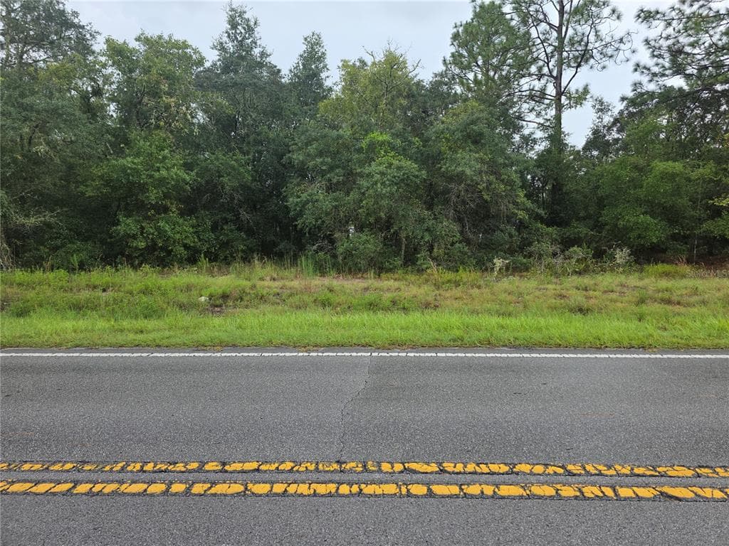 Lot 16 SW MARINE BOULEVARD DUNNELLON, FL 34431