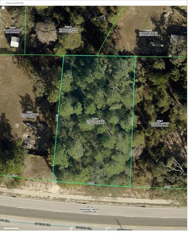 13335 SPRING HILL DRIVE SPRING HILL, FL 34609