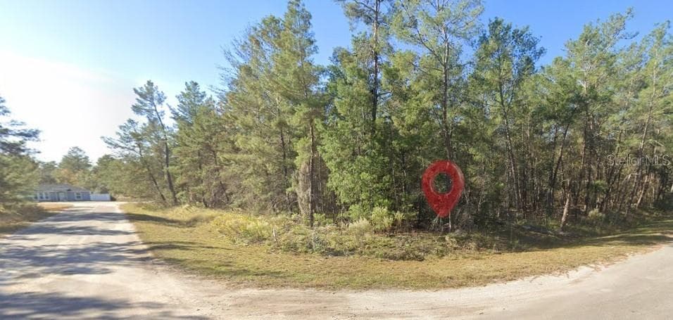 FISHER RUN TERRACE OCKLAWAHA, FL 32179