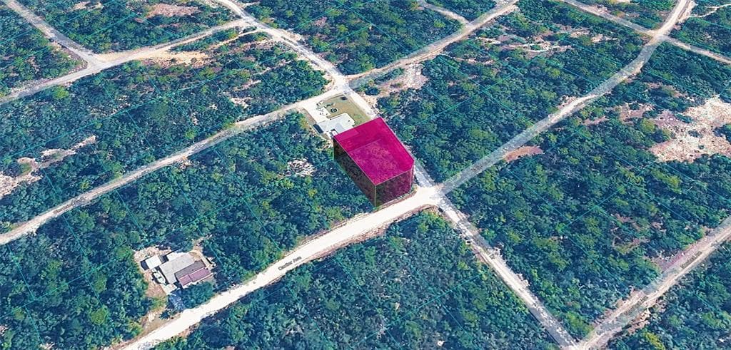 344 CARTIER AVENUE LAKE PLACID, FL 33852