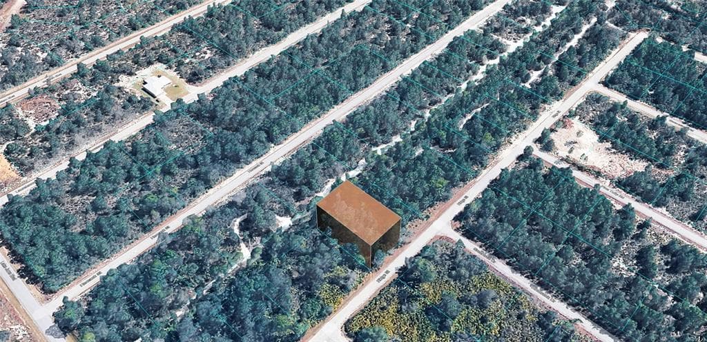 955 RIDGE STREET LAKE PLACID, FL 33852