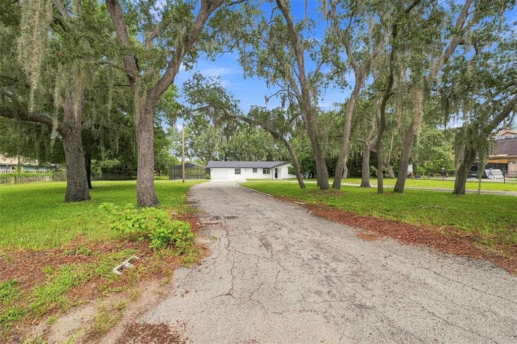 11666 SEMINOLE DRIVE NEW PORT RICHEY, FL 34654