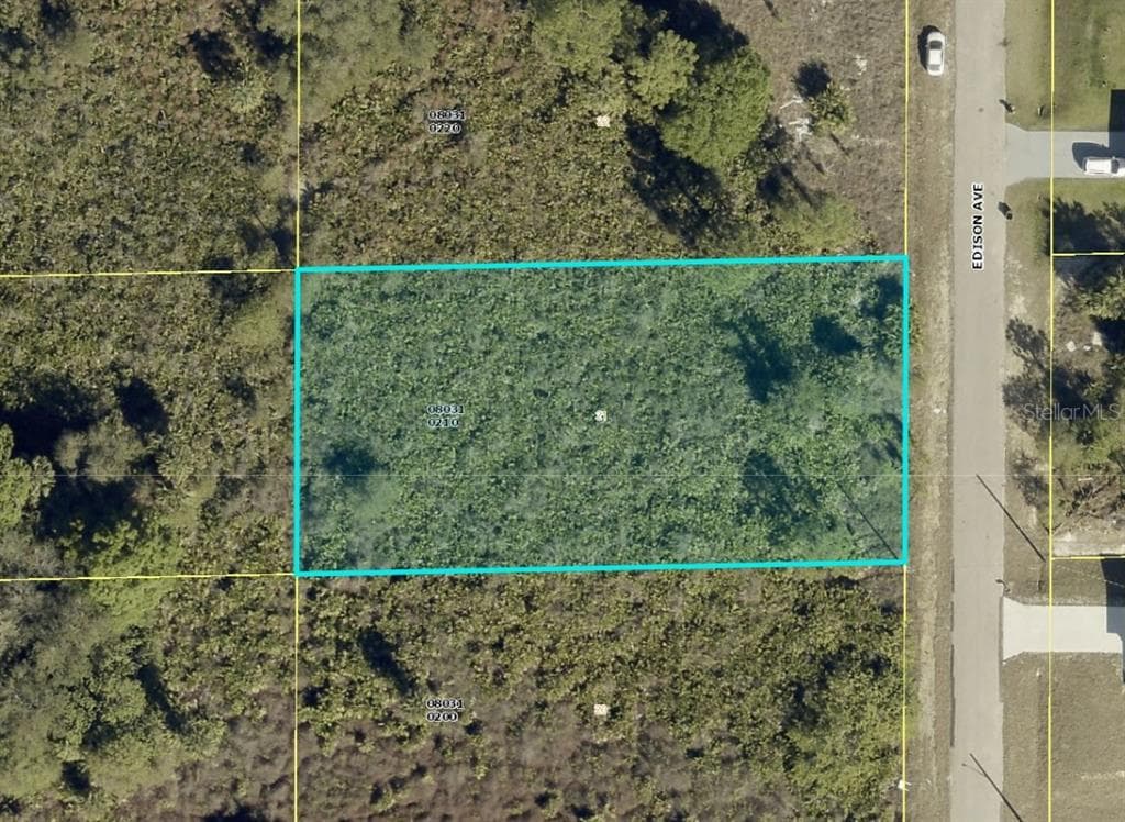 1417 EDISON AVENUE LEHIGH ACRES, FL 33972