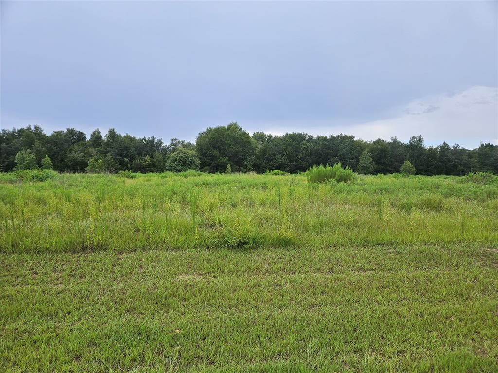 8881 VALERIE COURT ZEPHYRHILLS, FL 33540