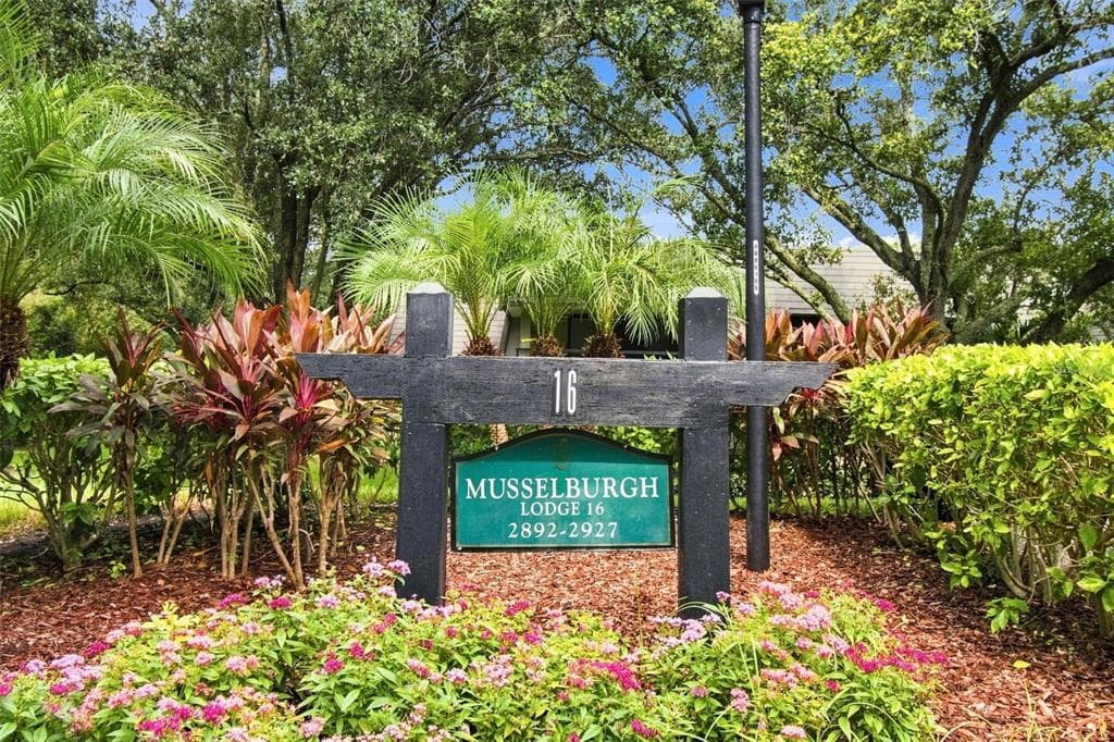 36750 US HIGHWAY 19 N UNIT 16204 PALM HARBOR, FL 34684
