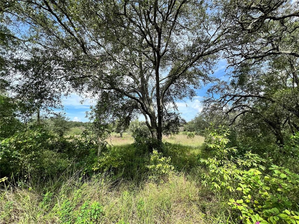13339 VIVIAN LANE