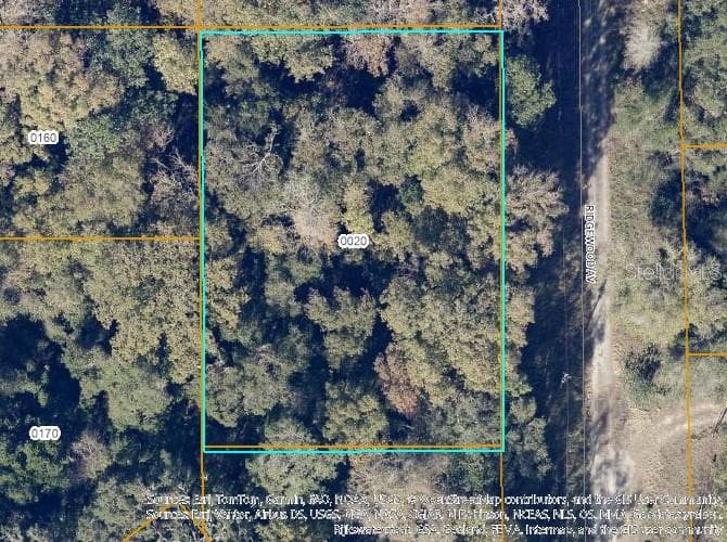 TBD RIDGEWOOD AVENUE DE LEON SPRINGS, FL 32130