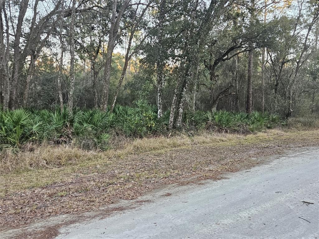 ROSEHILL DRIVE WEBSTER, FL 33597