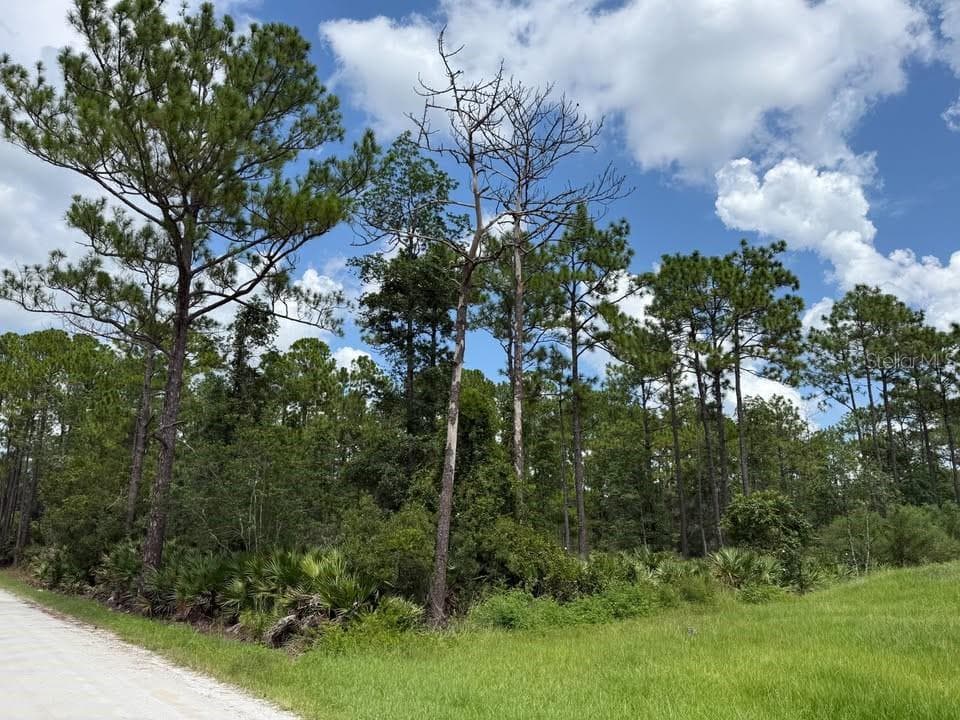 Unassigned EAST PARKWAY DELAND, FL 32724