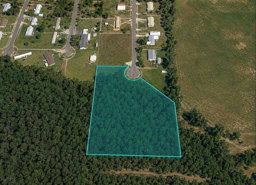 Unassigned BUCKHEAD DRIVE GRAND RIDGE, FL 32442