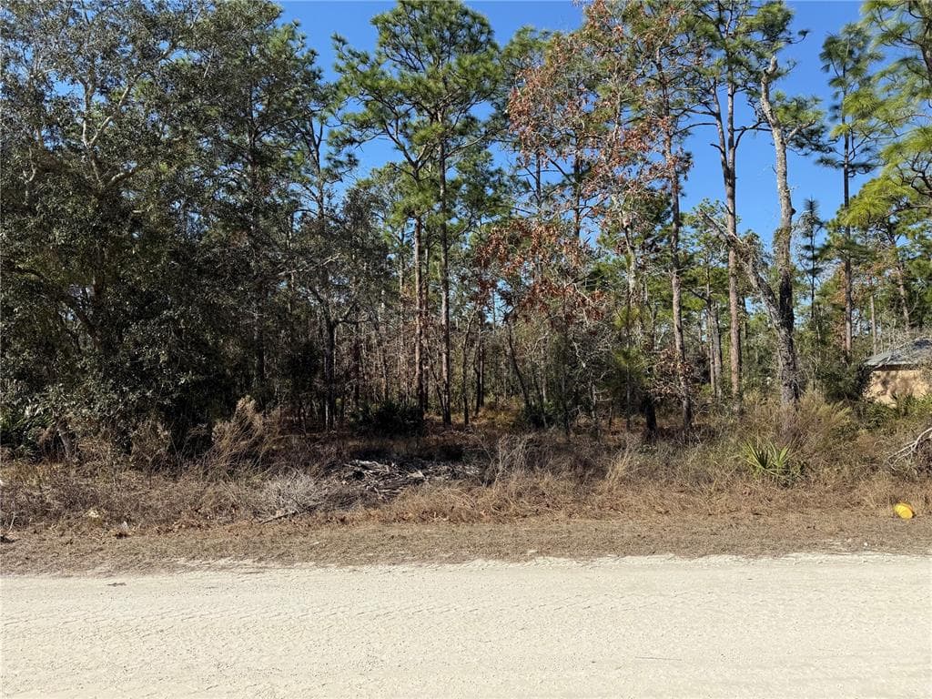 10845 MACASSAR ROAD WEEKI WACHEE, FL 34614