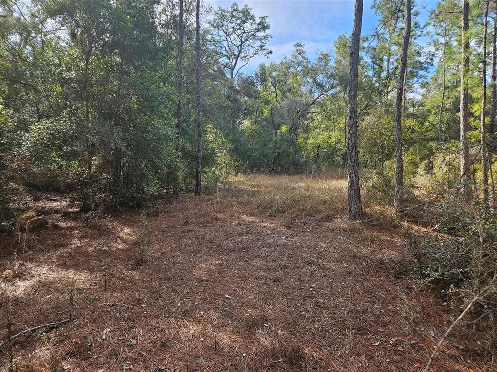 ROSEHILL DRIVE WEBSTER, FL 33597