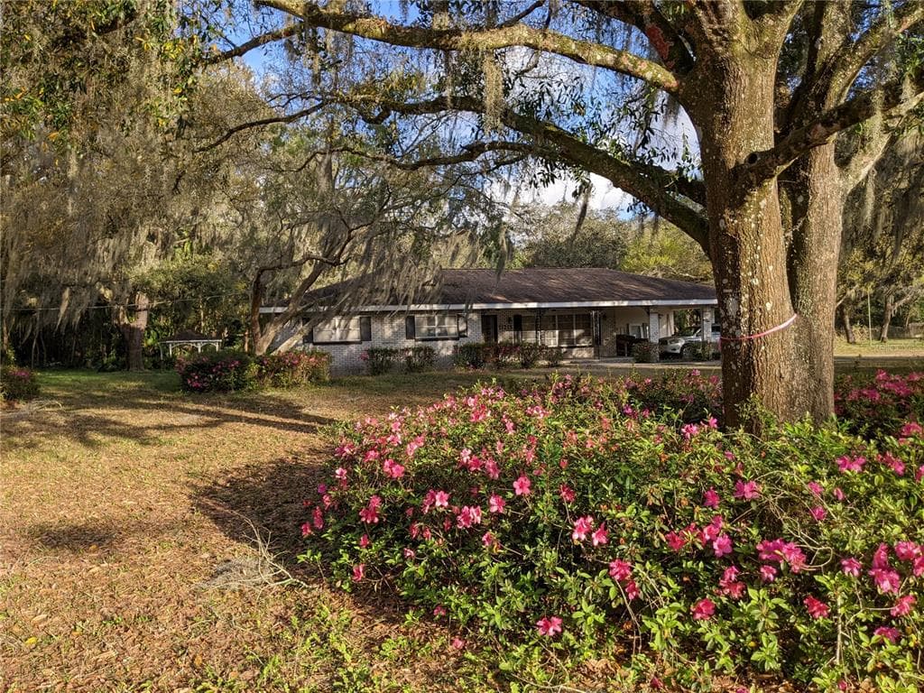 11215 DAVIS ROAD TAMPA, FL 33637