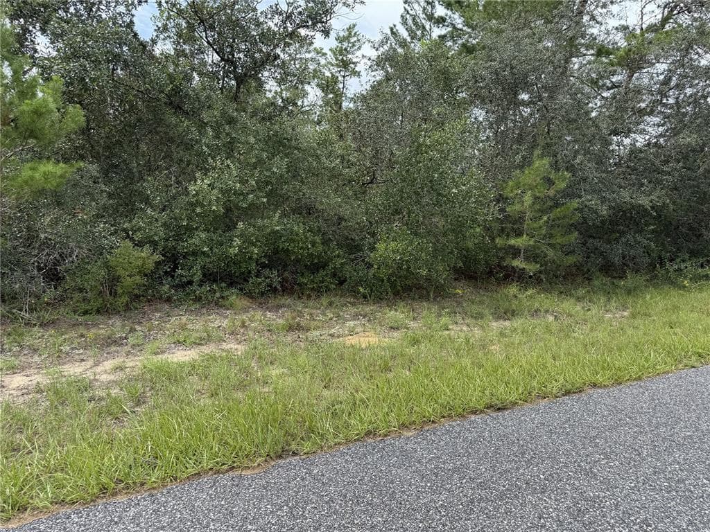 4282 W THRUSH DRIVE CITRUS SPRINGS, FL 34433