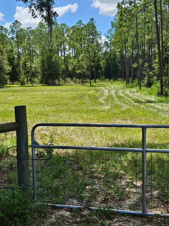 18505 HOLLOWAY LANE DADE CITY, FL 33523