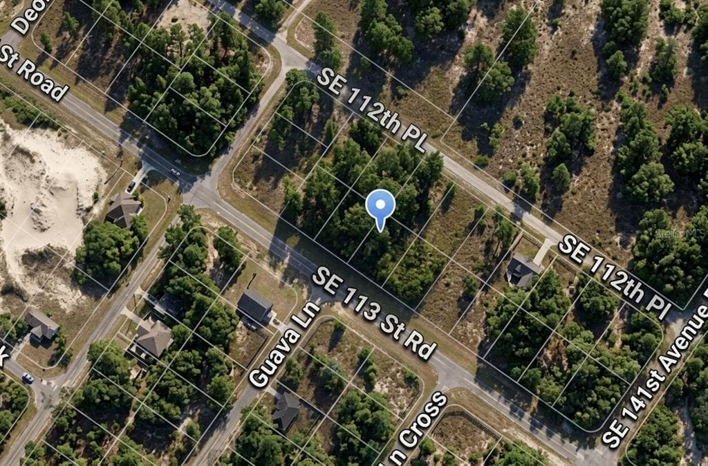 SE 113TH ST RD OCKLAWAHA, FL 32179
