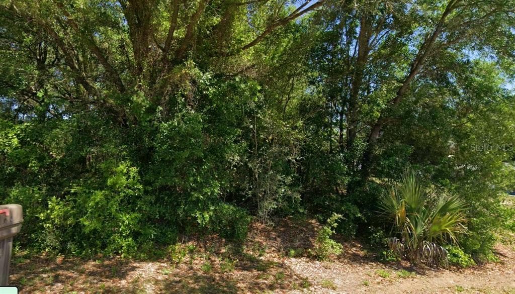 19801 FLAMINGO DRIVE DUNNELLON, FL 34431