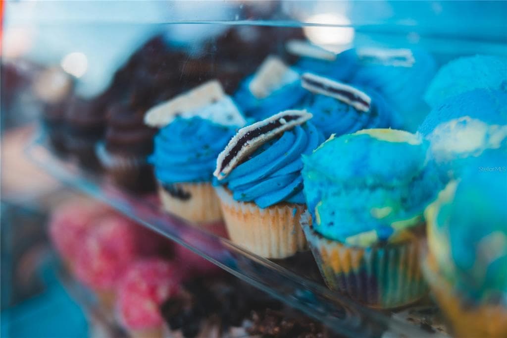 Profitable Cupcake & BAKERY BUSINESS – STRONG REVENUE & EARNINGS TAMPA, FL 33629