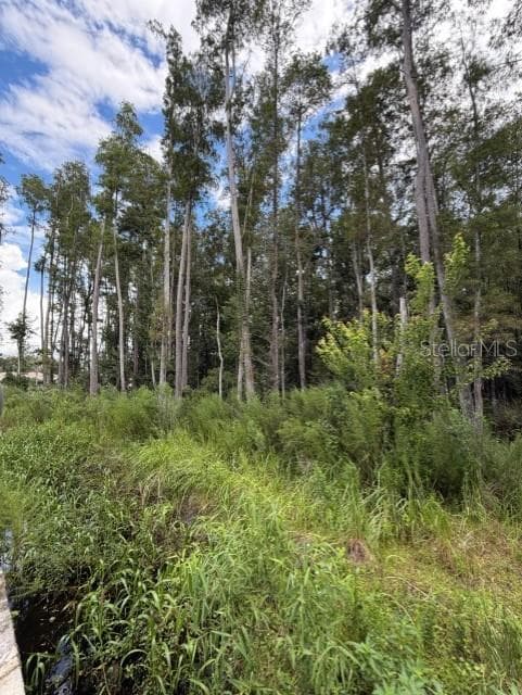 WESLEY CHAPEL BLVD LUTZ, FL 33559