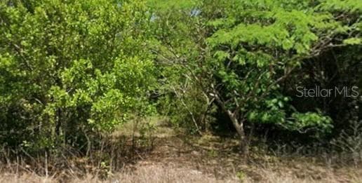 19949 RAINBOW LAKES BOULEVARD DUNNELLON, FL 34431