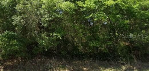 21540 MARINE BOULEVARD DUNNELLON, FL 34431