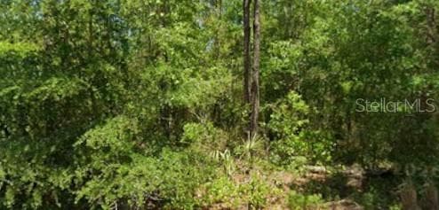21425 RAINBOW LAKES BOULEVARD DUNNELLON, FL 34431