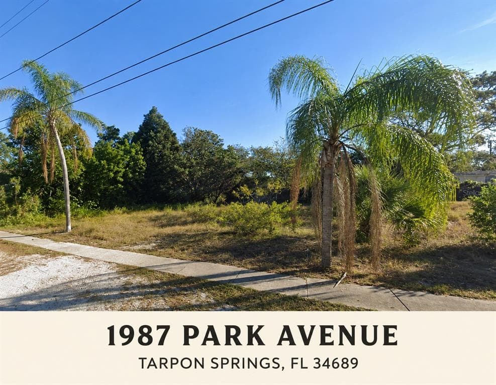 1987 PARK AVENUE TARPON SPRINGS, FL 34689