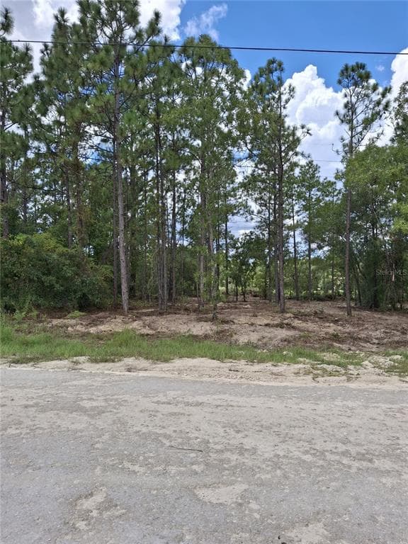 14167 CONDOR ROAD WEEKI WACHEE, FL 34614