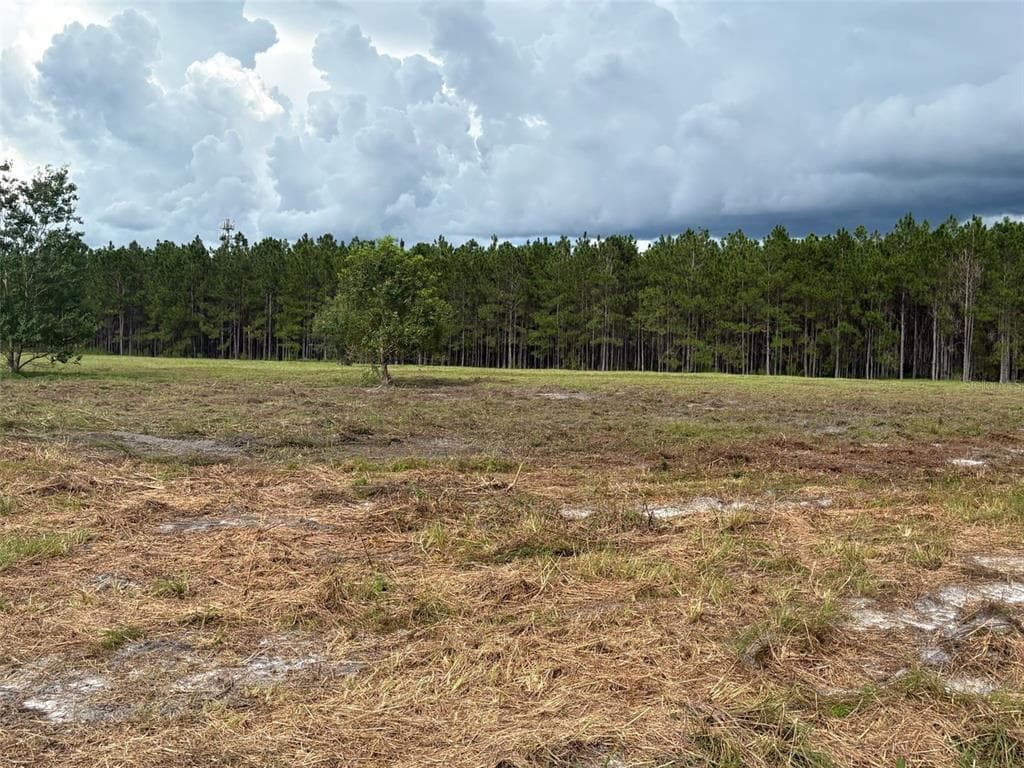 PUMP STATION RD LAND O LAKES, FL 34639