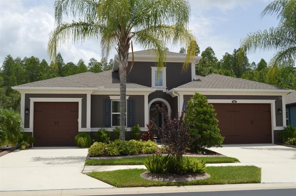 1694 WHITEWILLOW DRIVE WESLEY CHAPEL, FL 33543