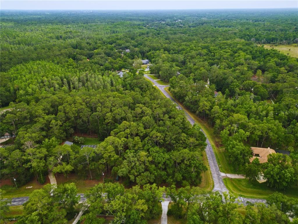 0 SHENANDOAH RUN WESLEY CHAPEL, FL 33544