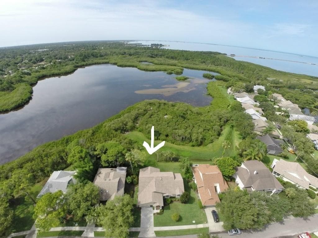 1025 S POINTE ALEXIS DRIVE TARPON SPRINGS, FL 34689