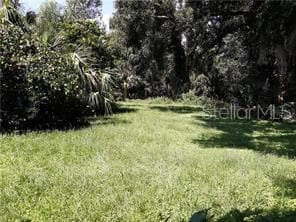 COUNTY ROAD 509 WILDWOOD, FL 34785