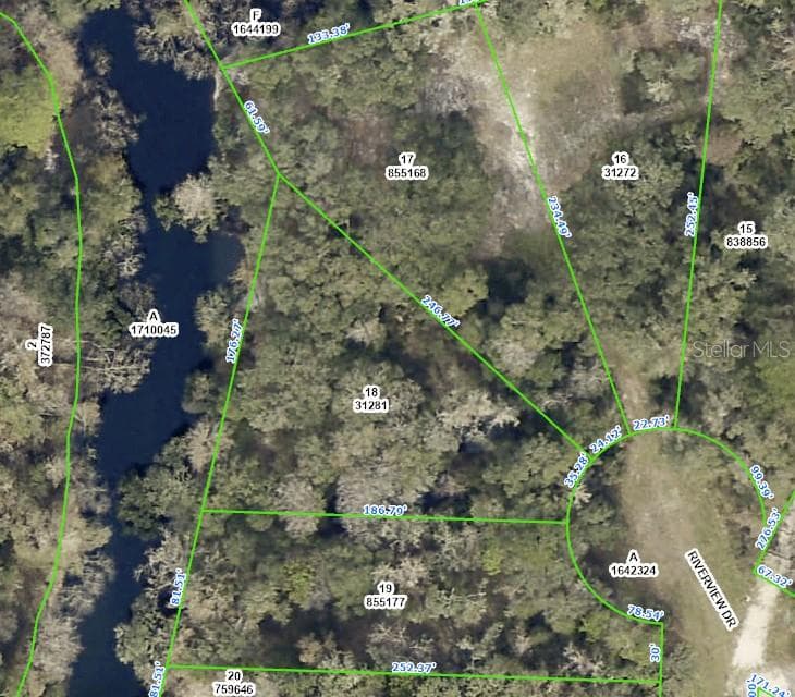 0 RIVERVIEW DRIVE WEBSTER, FL 33597