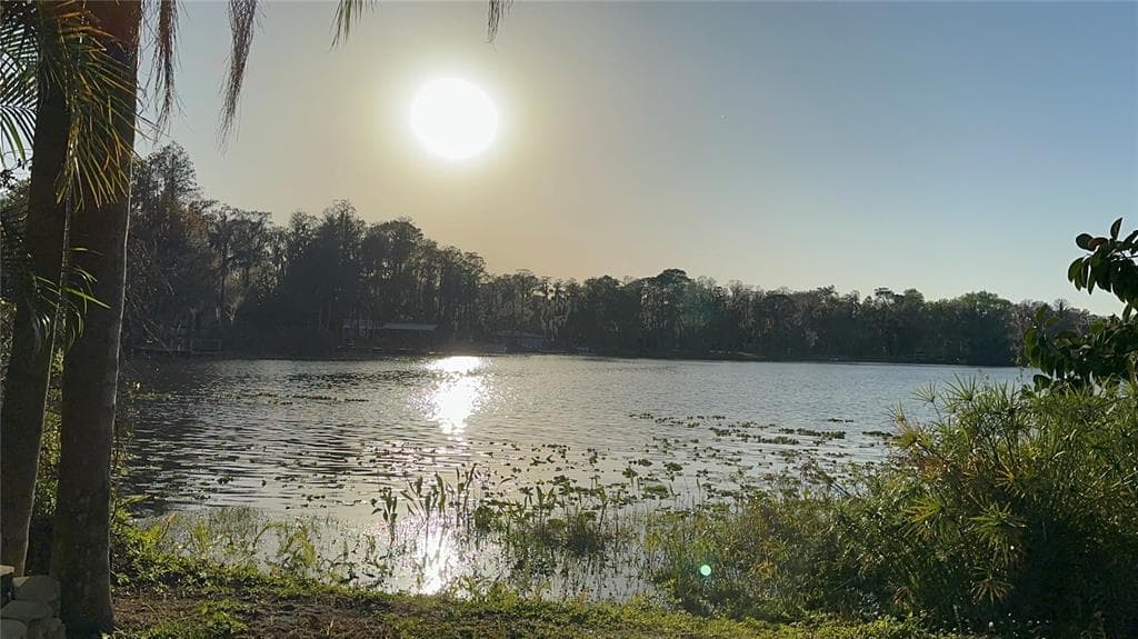 1653 ROWLAND DRIVE ODESSA, FL 33556