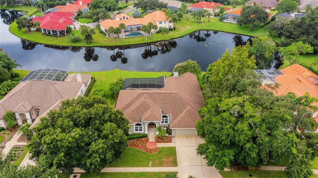 3910 ARLINGTON DRIVE PALM HARBOR, FL 34685